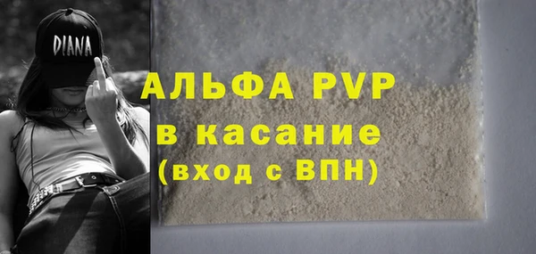 spice Гусиноозёрск