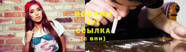 дживик Гусев