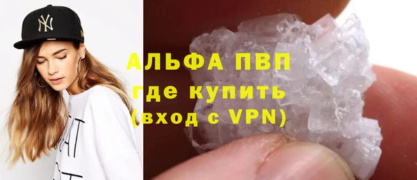 spice Гусиноозёрск