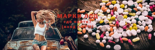 дживик Гусев