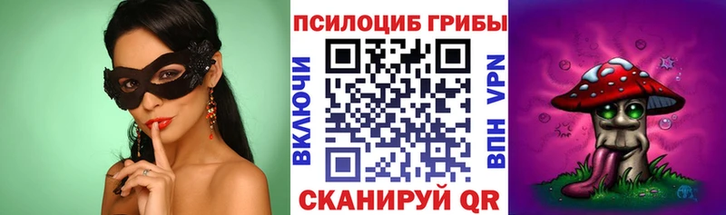 как найти наркотики  Духовщина  Псилоцибиновые грибы мухоморы 